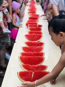 吃瓜小能手的视频,视频中的趣味与真相