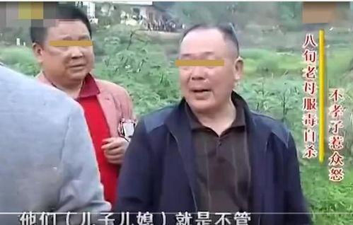 吃瓜群众刘奶奶视频,揭秘娱乐圈幕后故事