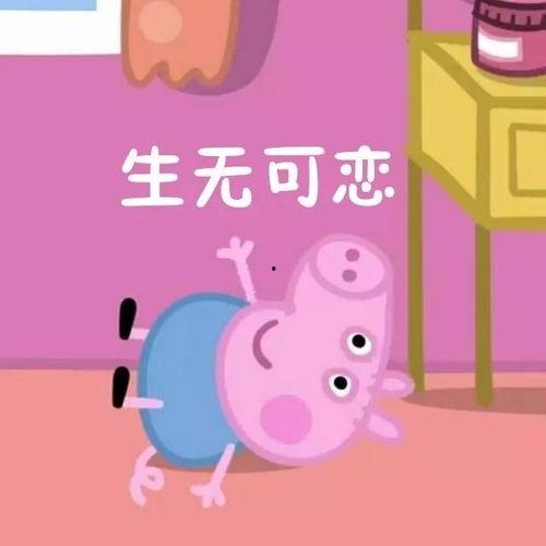 吃瓜群众小猪妹视频,揭秘娱乐圈幕后故事