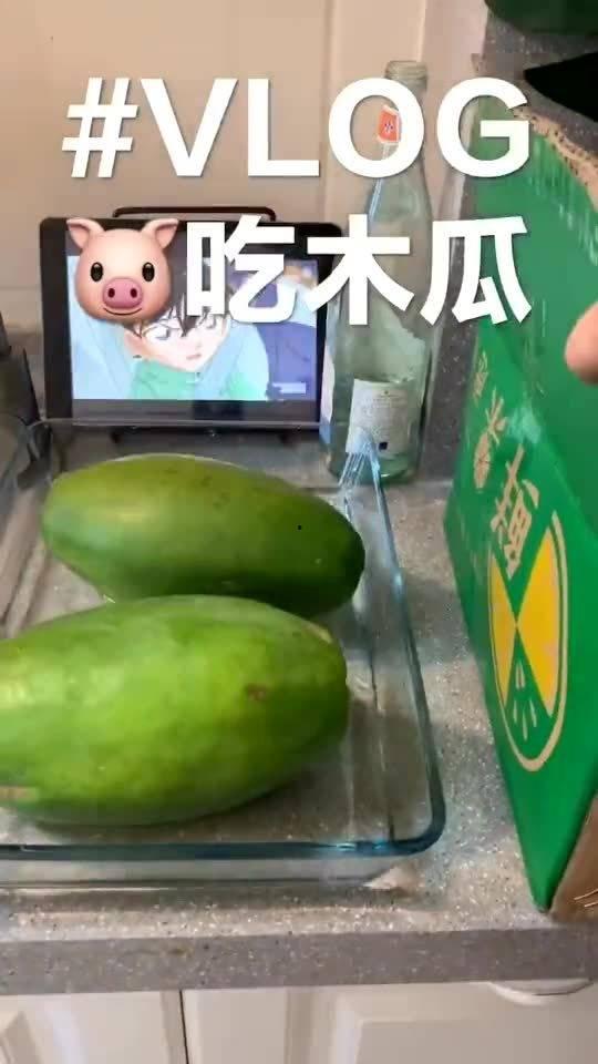 猪猪吃瓜的视频,欢乐无限，萌态十足！