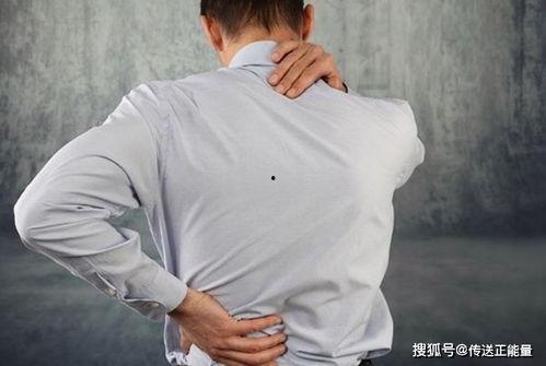 腰酸背痛吃瓜视频,轻松一招缓解不适