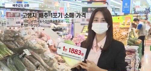 韩国民众吃瓜视频网站大全,韩国热门吃瓜视频网站大盘点