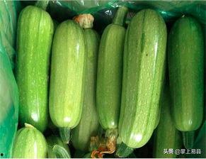 吊瓜能不能炒着吃呢视频,揭秘吊瓜的烹饪奥秘