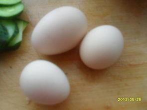 瓜怎样做着吃最好吃呢视频,视频揭秘最佳食用方法