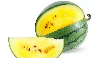 吃瓜地视频,一场视觉盛宴背后的故事