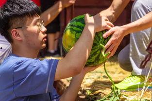 和田大学事件吃瓜视频,网络热议背后的真相揭秘